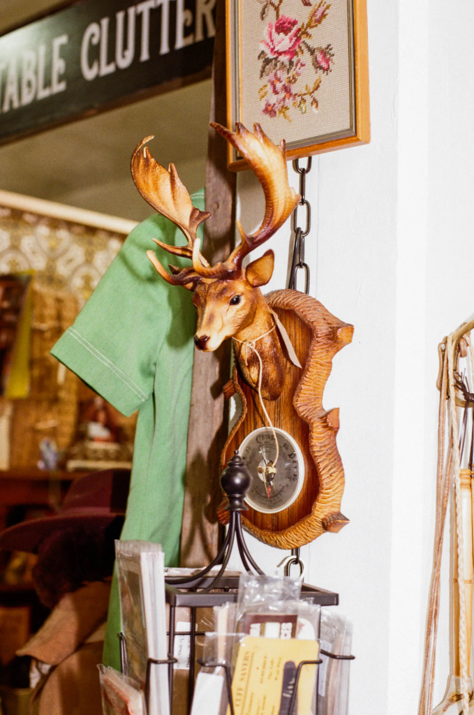 Vintage deer wall decor and embroidered floral picture at Collectable Clutter in My Dead Grandpa Adelaide.